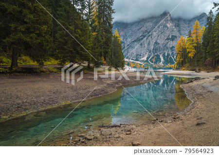 Turquoise lake in the pine forest, Dolomites, Italy Turquoise lake in the pine forest, Dolomites, Italy 79564923