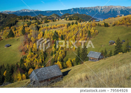 Autumn rural scenery and wooden huts on the slopes, Romania Autumn rural scenery and wooden huts on the slopes, Romania 79564926
