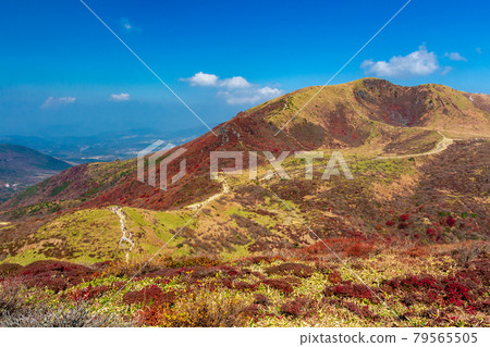 秋色中的九重山、荻假名和星正山 秋色中的九重山、荻假名和星正山 79565505