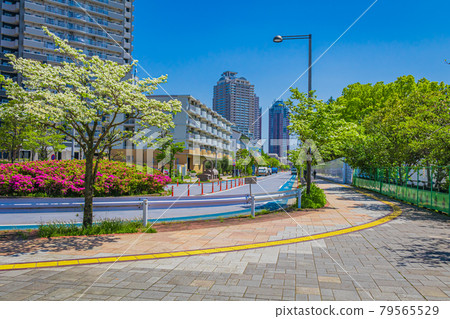 [東京街景] 台場周邊的風景 79565529