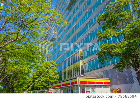 [Tokyo Cityscape] Plaza Heisei 79565594