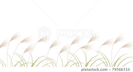 芒草秋 15 夜背景 芒草秋 15 夜背景 79566310