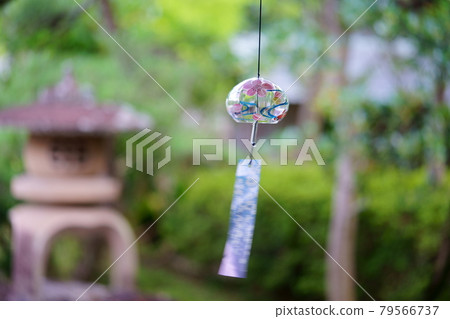 花園裡的弗林 79566737