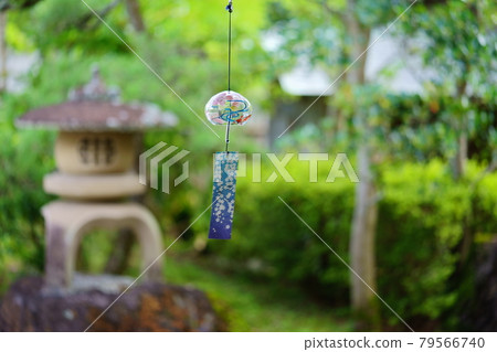 花園裡的弗林 79566740