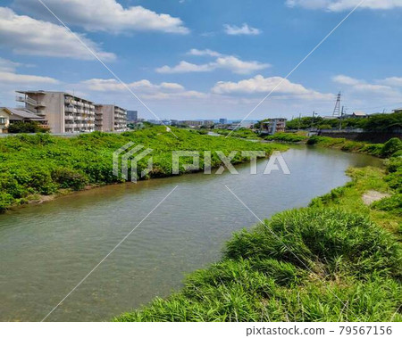 城市景觀自然 城市景觀自然 79567156