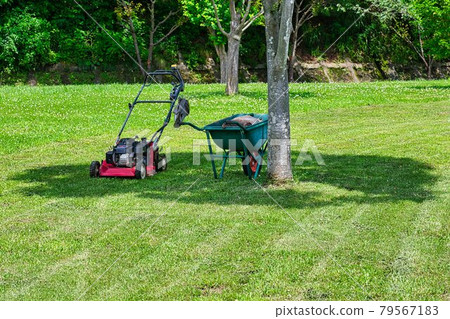 Greenkeeper: Maintaining natural grass with a lawnmower Greenkeeper: Maintaining natural grass with a lawnmower 79567183