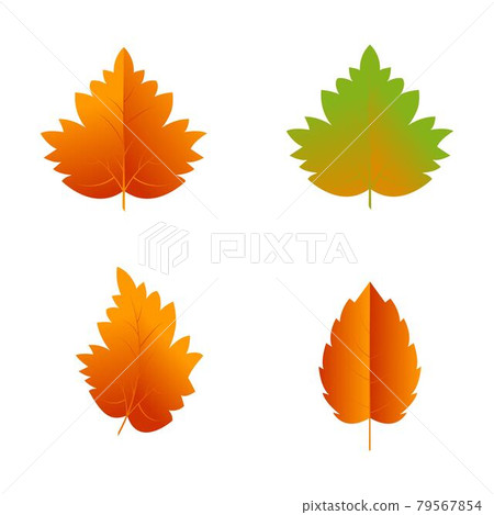 Autumn Element Vector icon design illustration 79567854