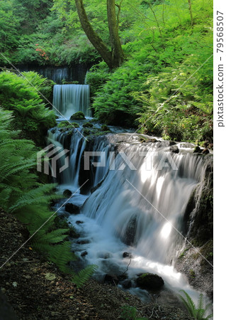 Karuizawa Shiraito Falls Karuizawa Shiraito Falls 79568507