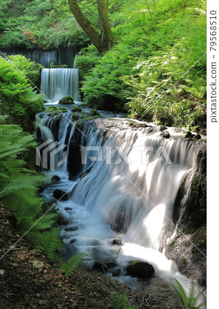 Karuizawa Shiraito Falls Karuizawa Shiraito Falls 79568510
