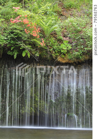 Karuizawa Shiraito Falls 79568763