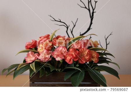 萬聖節圖像 79569087