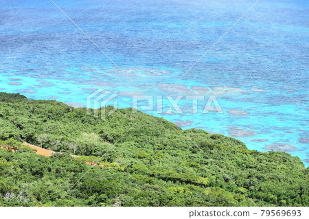 沖繩 0110 宮古島美麗的珊瑚礁海 79569693