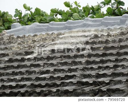 Miyakojima, Okinawa House with concrete tile roof 0785 79569720