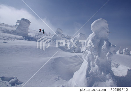 Snow monster 79569740