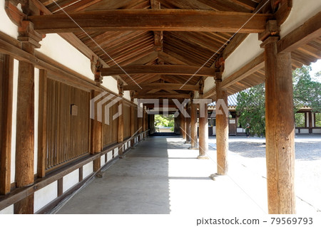 Nara Horyuji Temple 79569793