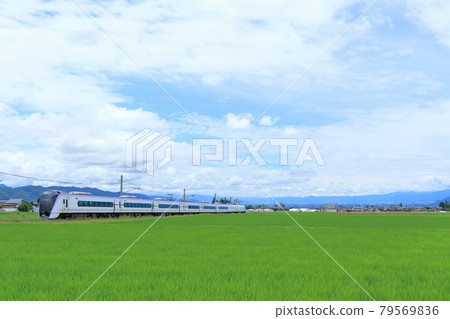 Otori Line清除雨季 79569836