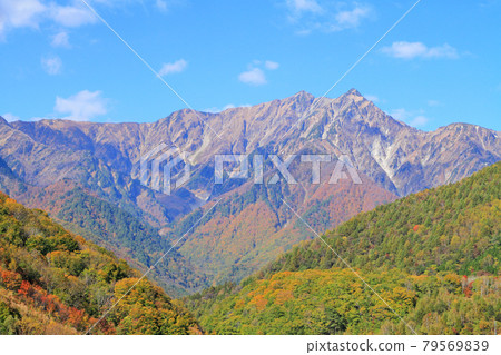 鹿島鹿ari黑澤高原的秋天北阿爾卑斯山鹿島山竹 鹿島鹿ari黑澤高原的秋天北阿爾卑斯山鹿島山竹 79569839
