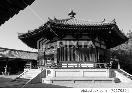 Horyuji Temple 79570304