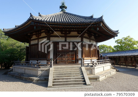 Horyuji Temple 79570309