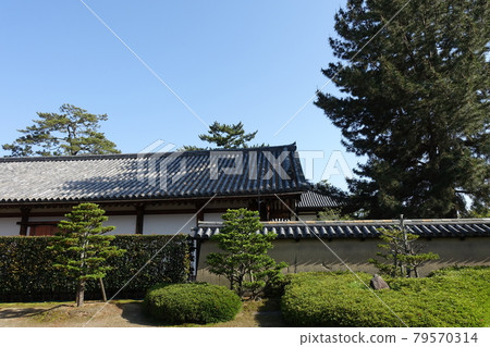 Nara Horyuji Temple Nara Horyuji Temple 79570314