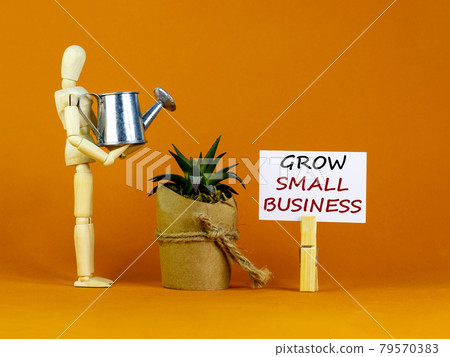 Wooden clothespin with white sheet of paper. Text 'grow small business'. Wooden manequin, house plant from, miniature watering can. Beautiful orange background. Business concept, copy space. 79570383
