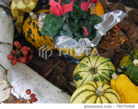 萬聖節圖像 79570409