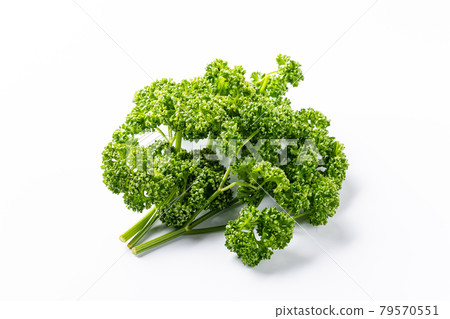 Parsley Parsley 79570551