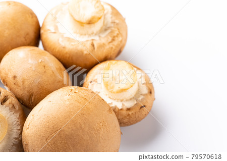 Brown mushroom 79570618