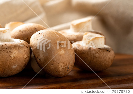 Brown mushroom 79570720