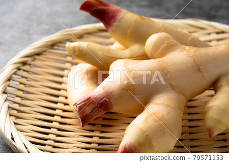 New ginger New ginger 79571153