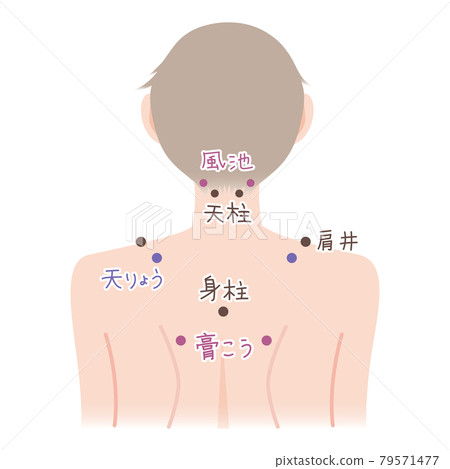 易於理解的肩部和背部穴位插圖 插圖素材，背部，女性 79571477