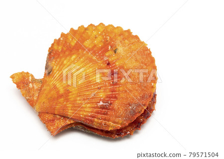 巨蟹 巨蟹 79571504