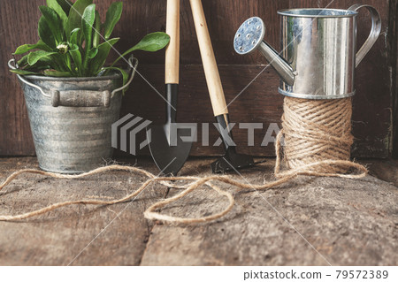 Garden tools, shovel, rake, watering can, bucket, tablets for plants, flower daisy in a flowerpot on Garden tools, shovel, rake, watering can, bucket, tablets for plants, flower daisy in a flowerpot on 79572389