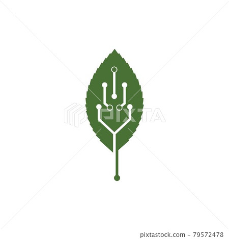 eco leaf circuit tech  vector icon 79572478