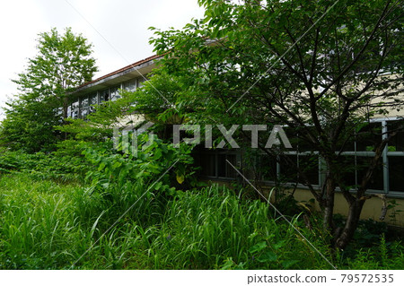 Hamamasu Village Hamamasu 北部小學(關閉) Hamamasu Village Hamamasu 北部小學(關閉) 79572535