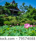 信濃國分寺蓮田 79574088