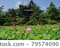 信濃國分寺蓮田 79574090