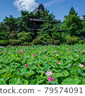 信濃國分寺蓮田 79574091