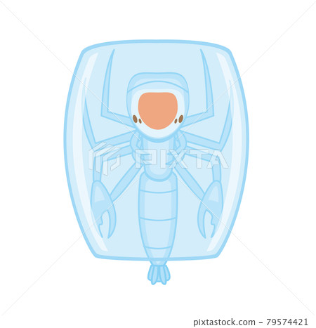 塔瑪鷹/深海 79574421