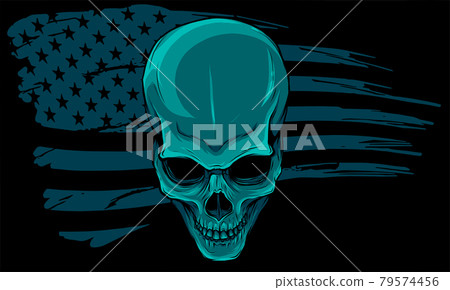 vector illustartion of skull with american flag 79574456