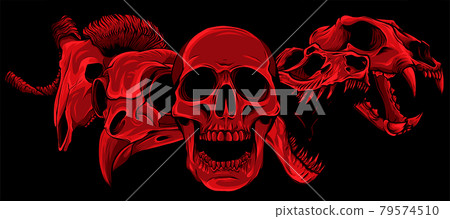vector illustratio of animal skull art design - Stock Illustration  [79574510] - PIXTA