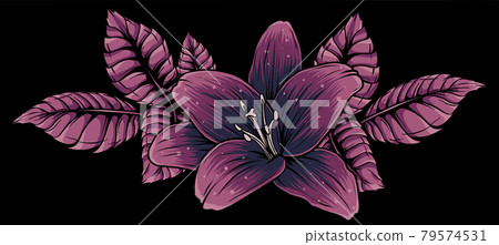 vector illustration of lily flower with leaves vector illustration of lily flower with leaves 79574531