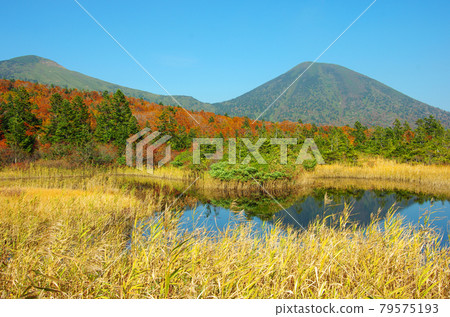 水蓮沼和八甲田山脈的秋景 79575193