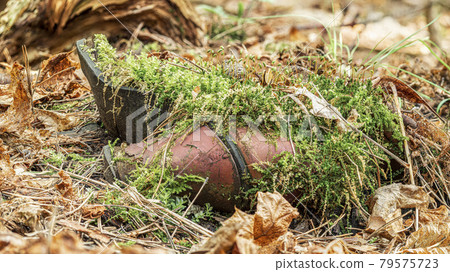 An old, forgotten boot in the woods, overgrown with moss among the leaves and pine needles An old, forgotten boot in the woods, overgrown with moss among the leaves and pine needles 79575723