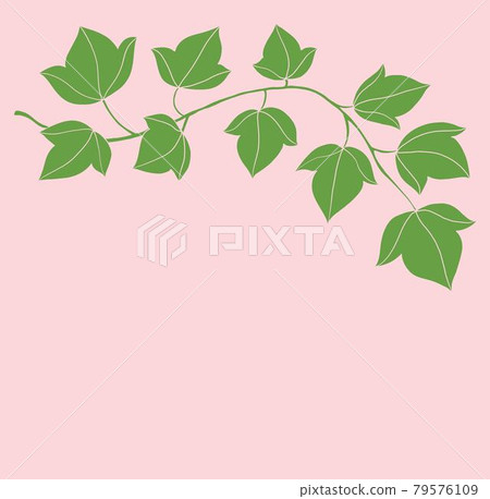 Simplicity ivy freehand drawing flat design.-插圖素材[79576109 