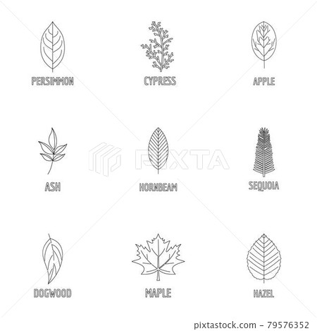 Deciduous icons set, outline style Deciduous icons set, outline style 79576352