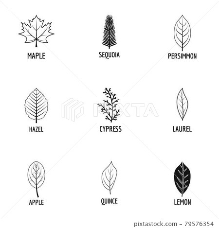 Tree structure icons set, simple style Tree structure icons set, simple style 79576354