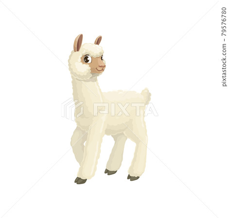 White lama alpaca guanaco llama vicuna animal icon 79576780