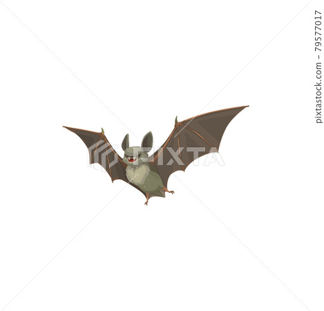 Bat icon, pest control extermination, disinfection 79577017