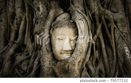 The famous Buddha head in ancient tree root in Ayutthaya Thailamd. 79577132
